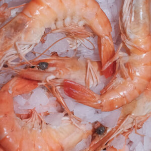 Photo des crevettes Label Rouge de la boutique Perlostrea à Toulouse