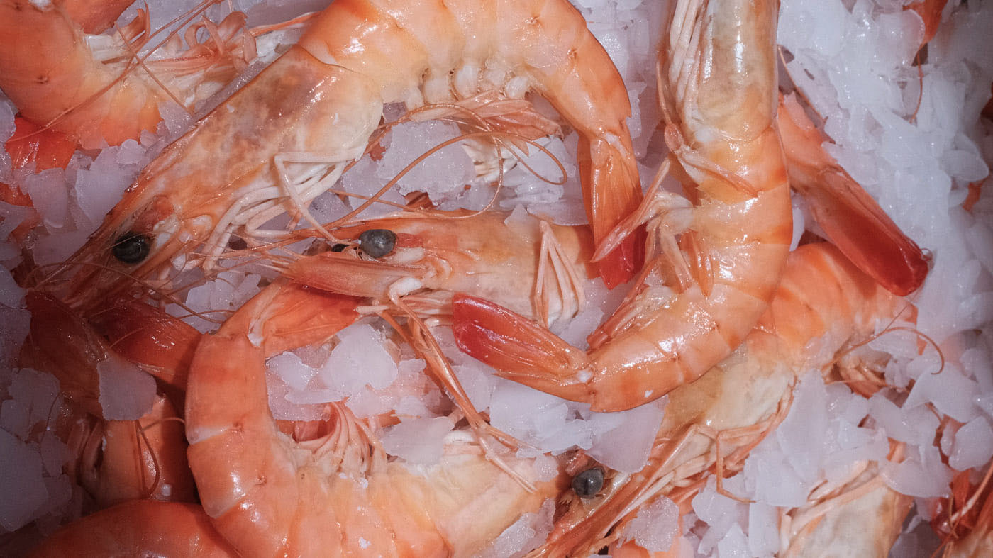 Photo des crevettes Label Rouge de la boutique Perlostrea à Toulouse