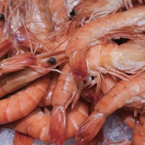 Photo des crevettes Label Rouge de la boutique Perlostrea à Toulouse