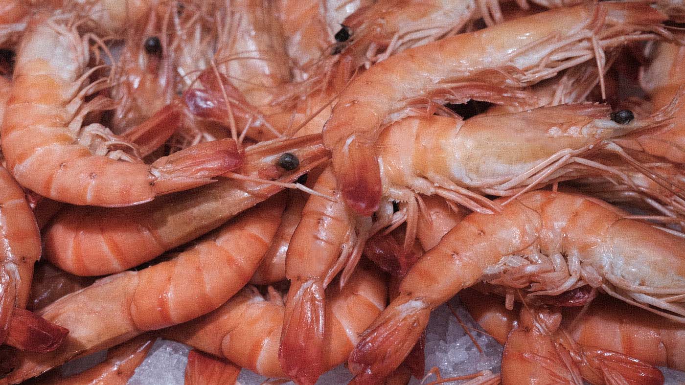 Photo des crevettes Label Rouge de la boutique Perlostrea à Toulouse