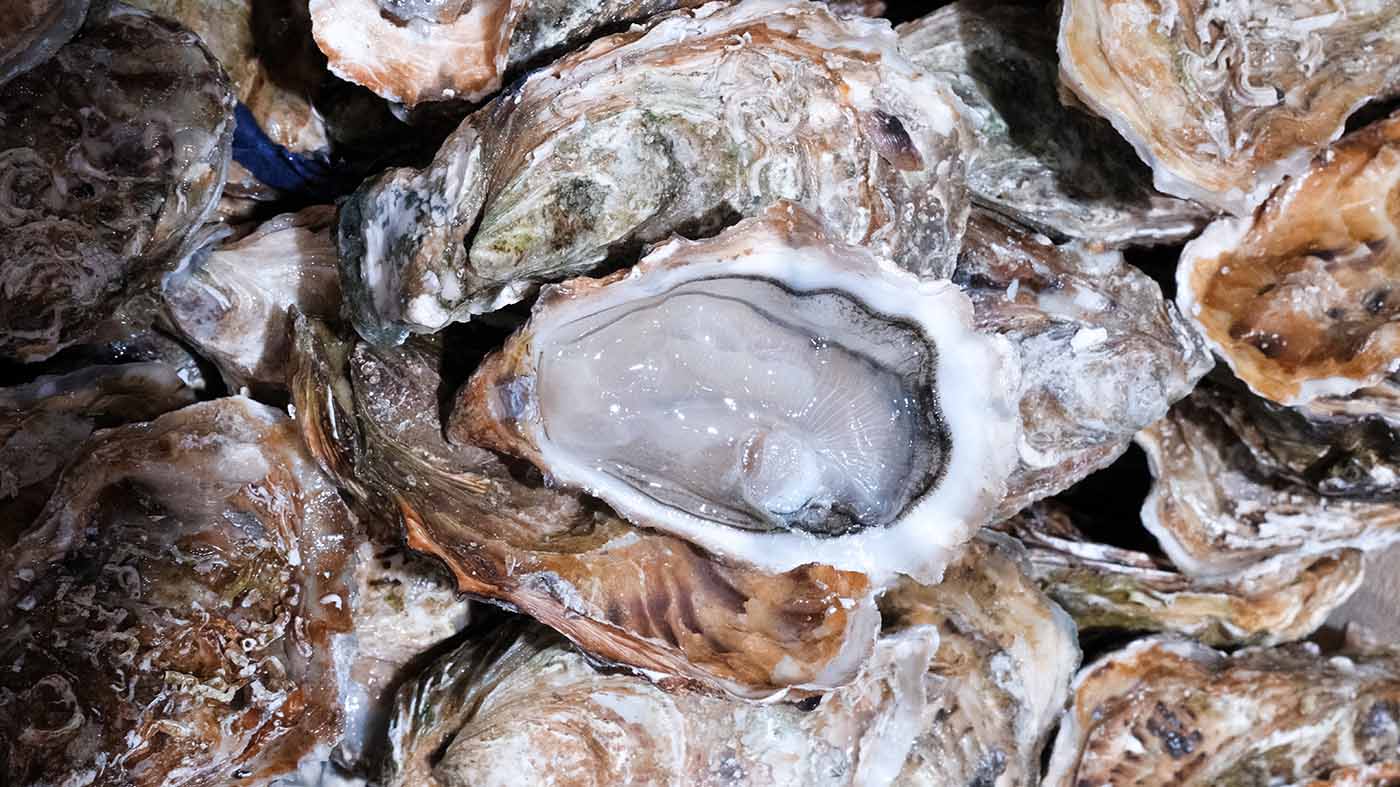 Photo des huîtres Marennes – Fines de Claire de la boutique Perlostrea à Toulouse