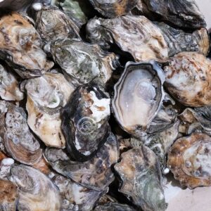 Photo des huîtres spéciales Gillardeau de la boutique Perlostrea à Toulouse