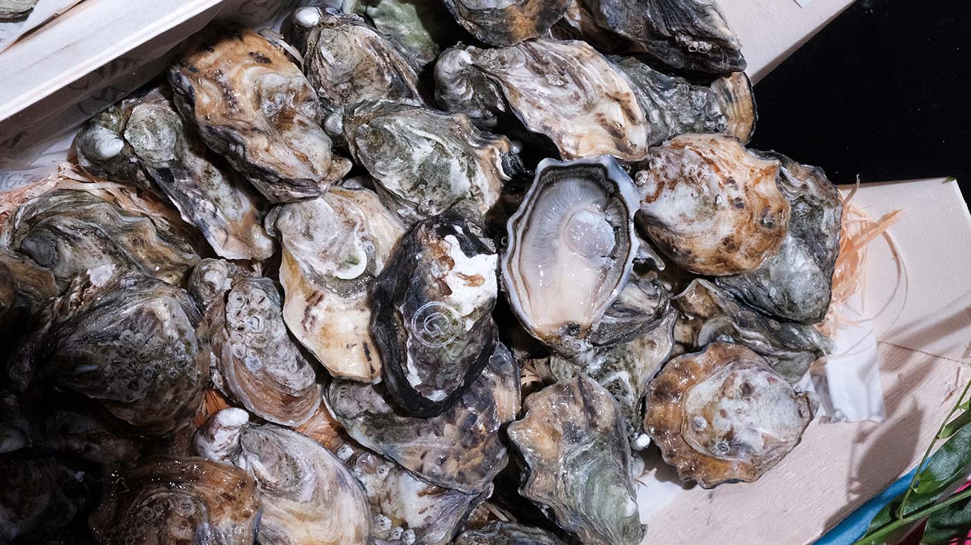 Photo des huîtres spéciales Gillardeau de la boutique Perlostrea à Toulouse