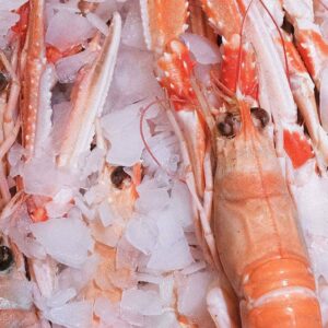 Gros plan des langoustines de la boutique Perlostrea à Toulouse