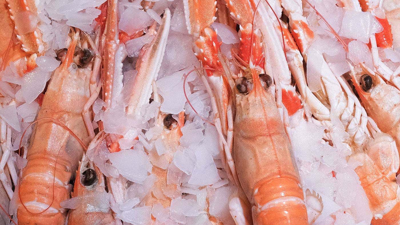 Gros plan des langoustines de la boutique Perlostrea à Toulouse