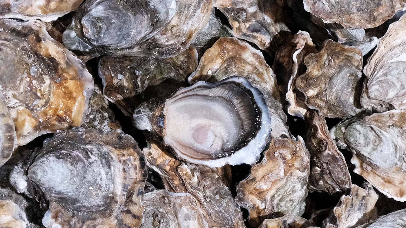 Photo des huîtres Irlandaise Spéciales Ostra Régal de la boutique Perlostrea à Toulouse