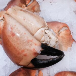 Photo d'une pince de crabe de la boutique Perlostrea à Toulouse