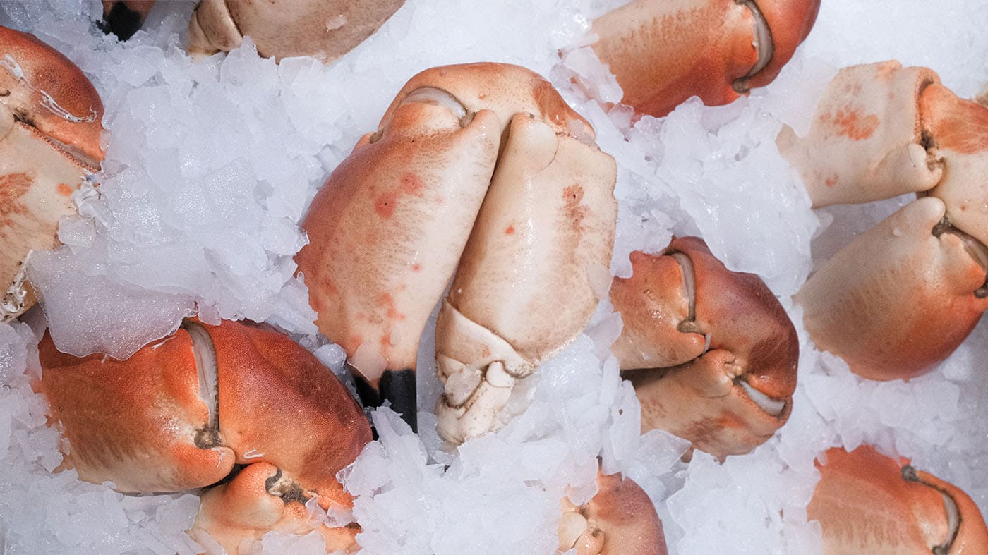 Photo d'une pince de crabe de la boutique Perlostrea à Toulouse