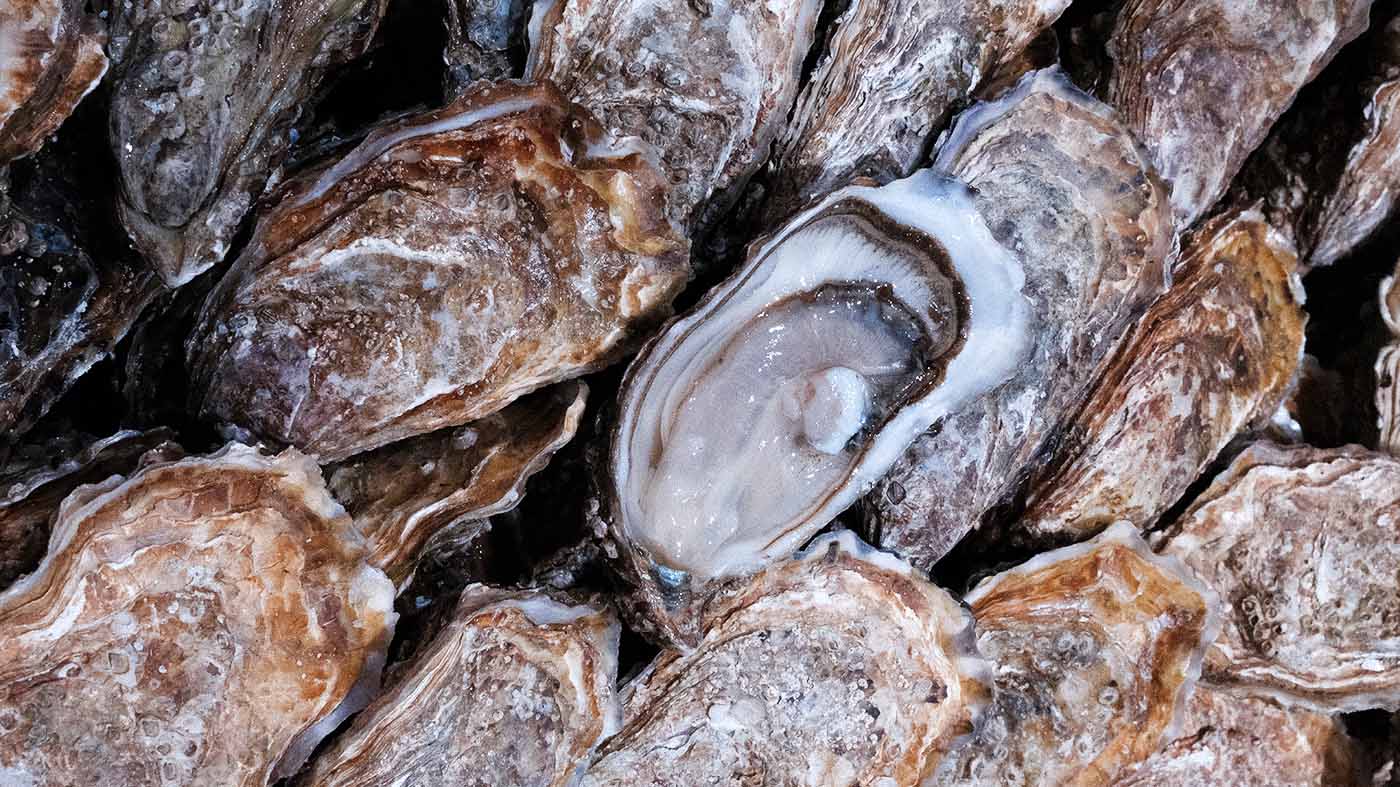 Photo des huîtres spéciales de Normandie de la boutique Perlostrea à Toulouse