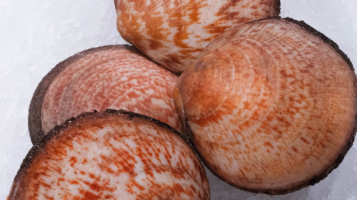 Photo des amandes, fruits de mer à Toulouse