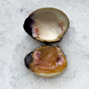 Photo des clams de la boutique Perlostrea à Toulouse