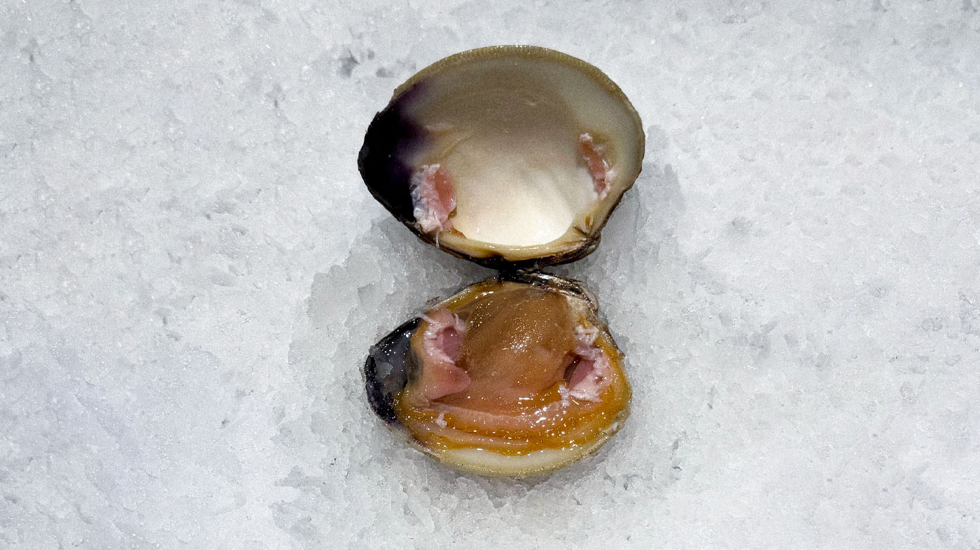 Photo des clams de la boutique Perlostrea à Toulouse