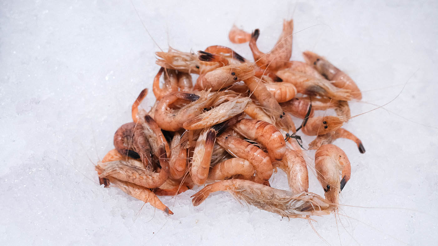 Photo des crevettes grises de la boutique Perlostrea à Toulouse