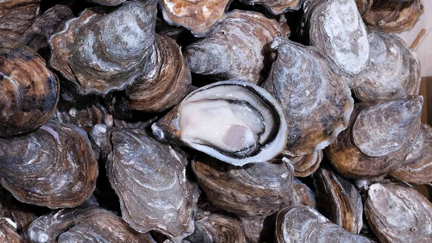 Photo des huîtres l'étoile de la boutique Perlostrea à Toulouse