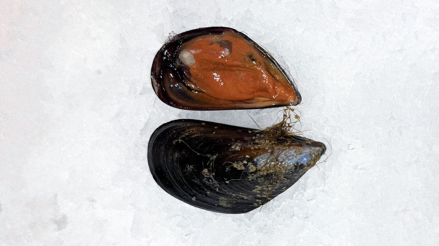 Photo des moules d'Espagne de la boutique Perlostrea à Toulouse