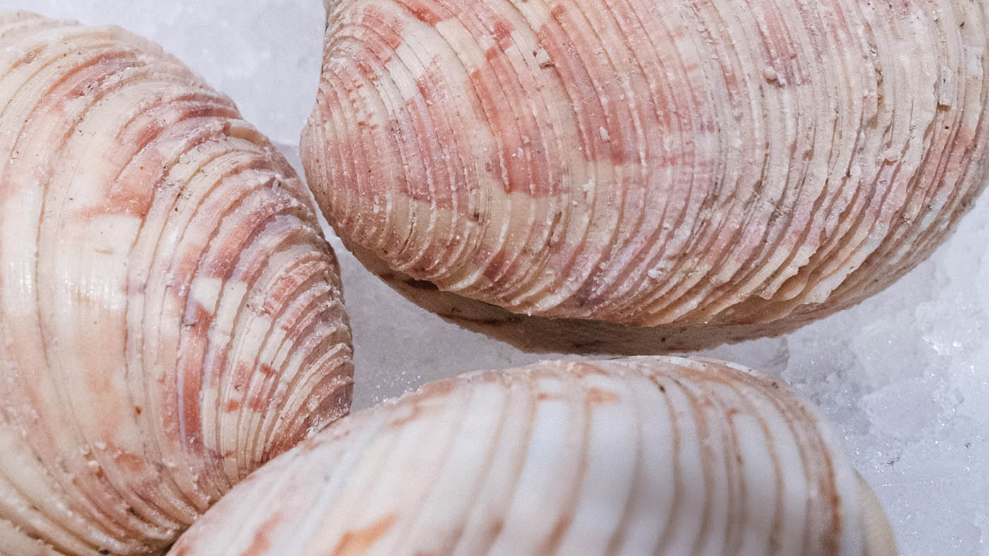 Photo des praires de la boutique Perlostrea à Toulouse